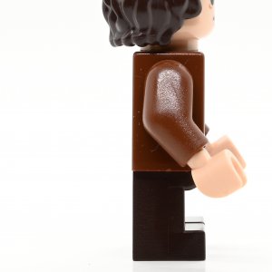 Frodo Baggins