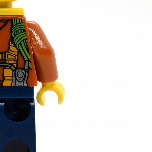 Jungle Explorer