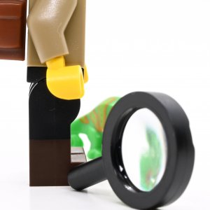 Jungle Explorer