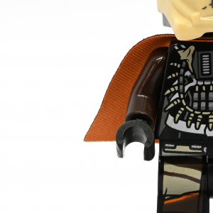 Enfys Nest