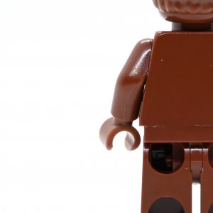 Everyone is Awesome Reddish Brown