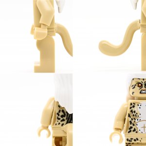 Cheetah (Dr Barbara Minerva)