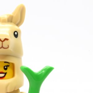 Llama Costume Girl