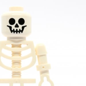 Skeleton with Standard Skull