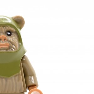 Ewok Warrior