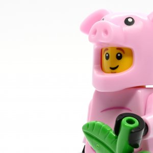 Piggy Guy