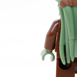 Kit Fisto
