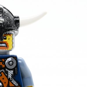 Viking Warrior 2c