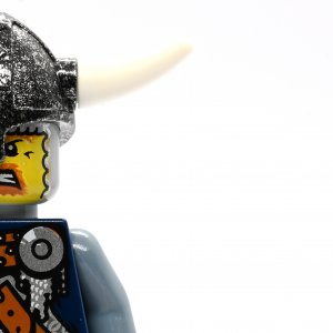 Viking Warrior 4d