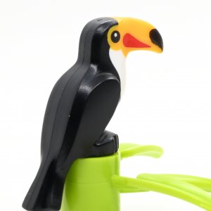 Birdwatcher