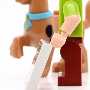 Shaggy Roggers & Scooby-Doo