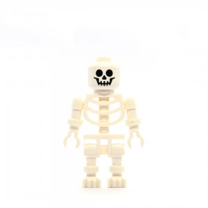 Skeleton with Standard Skull
