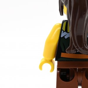 Gold Prospector