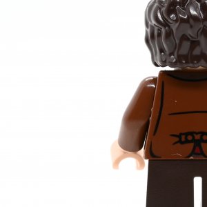 Frodo Baggins