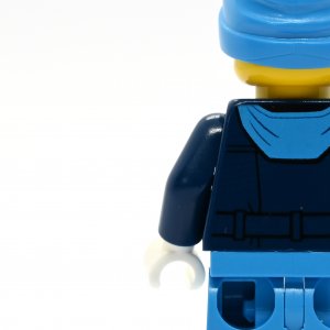 Arctic Expedition Leader