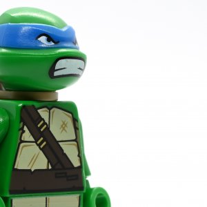 Leonardo