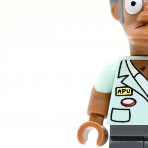Apu Nahasapeemapetilon