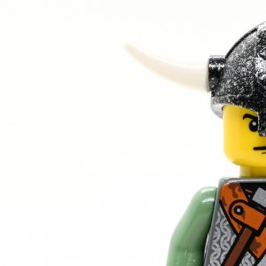 Viking Warrior 3d