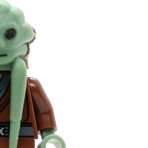 Kit Fisto