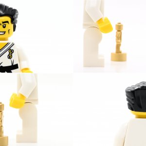 Karate Master