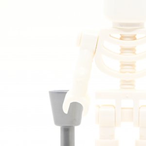 Skeleton 