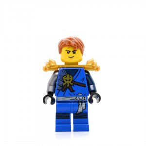 Jay 