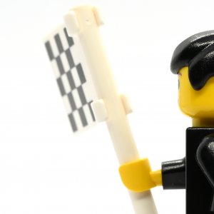 F1 Race Official
