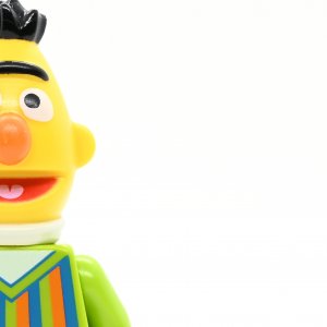 Bert