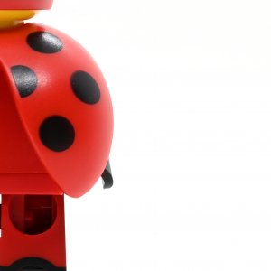 Ladybug Girl