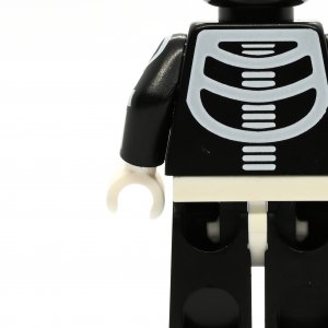Skeleton Guy