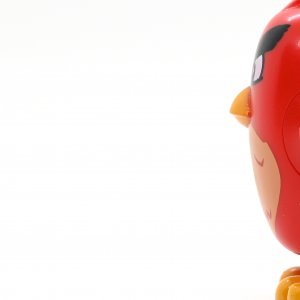 Annoyed Angry Bird