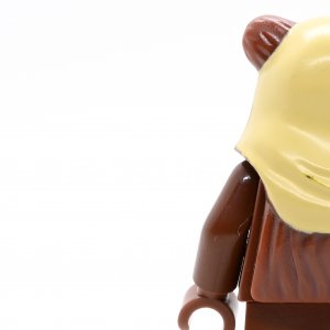 Paploo (Ewok)