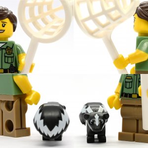 Animal Control Officer