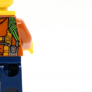 City Jungle Explorer