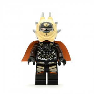 Enfys Nest